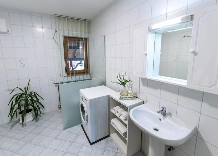 Zimzeleni Apartment *