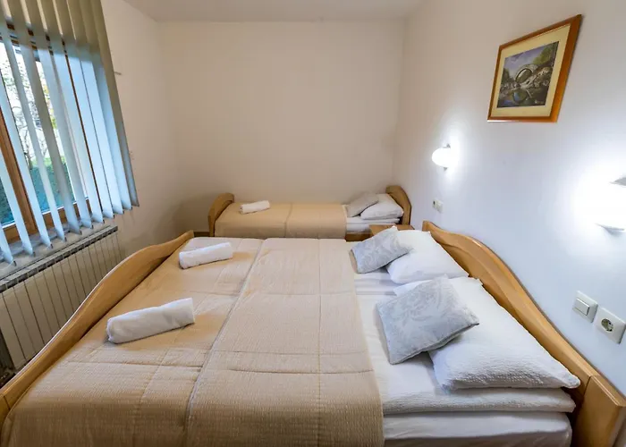 Zimzeleni Apartment Zrece